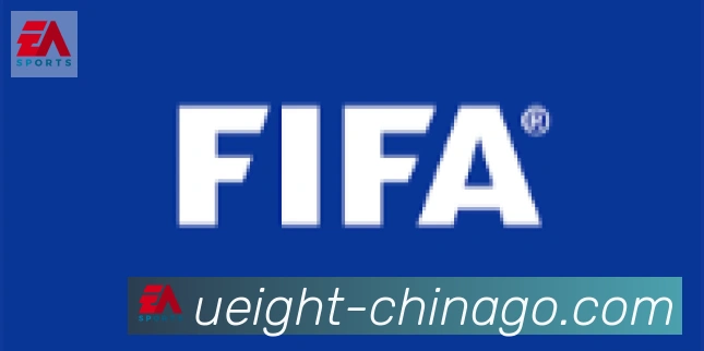 U8国际合作伙伴