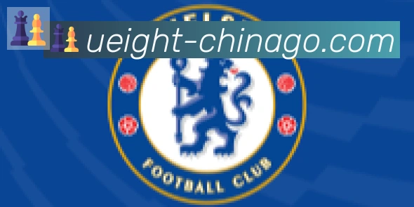 U8国际合作伙伴